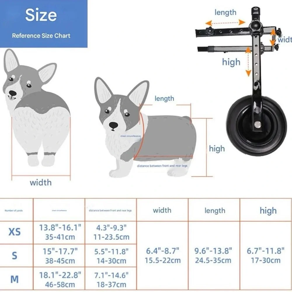 Dog Wheelchair with Blue Harness